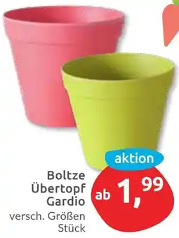 Budni Boltze Übertopf Gardio Angebot