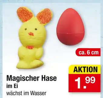 Zimmermann Magischer hase im ei Angebot