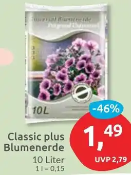 Budni Classic plus Blumenerde Angebot