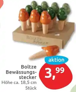 Budni Boltze Bewässungsstecker Angebot