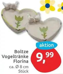 Budni Boltze Vogeltränke Florina Angebot