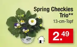 Zimmermann Spring checkies trio Angebot