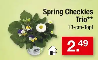 Zimmermann Spring checkies trio Angebot