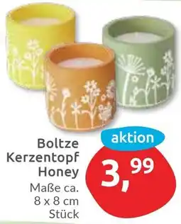 Budni Boltze Kerzentopf Honey Angebot