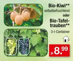 Zimmermann Bio-kiwi oder bio-tafeltrauben bio-kiwi oder bio-tafeltrauben Angebot