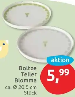 Budni Boltze Teller Blomma Angebot