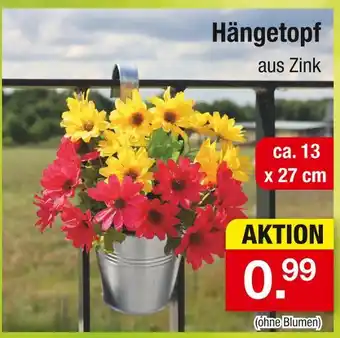 Zimmermann Hängetopf Angebot