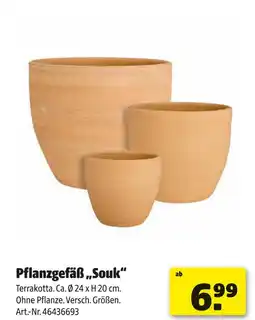 Hagebau Pflanzgefäß souk Angebot