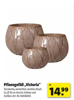 Hagebau Pflanzgefäß victoria Angebot