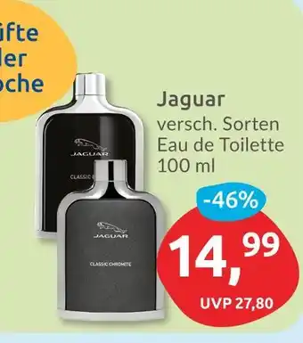 Budni Jaguar classic chromite Angebot