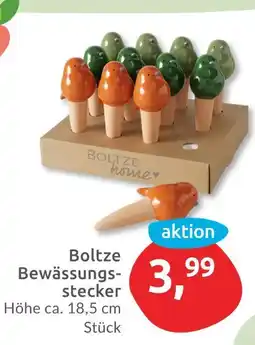 Budni Boltze bewässerungsstecker Angebot