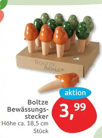 Budni Boltze bewässerungsstecker Angebot