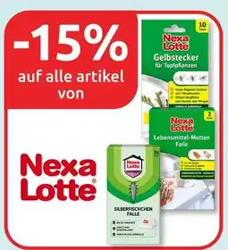 Budni Nexa lotte gelbstecker für topfpflanzen lebensmittel-motten falle silberfischchen falle Angebot