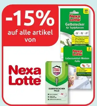 Budni Nexa lotte gelbstecker für topfpflanzen lebensmittel-motten falle silberfischchen falle Angebot