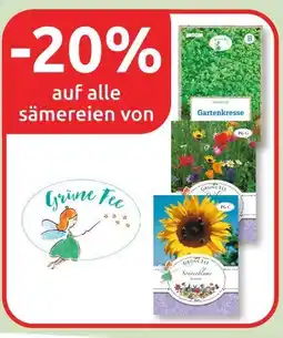 Budni Grüne fee -20% Angebot