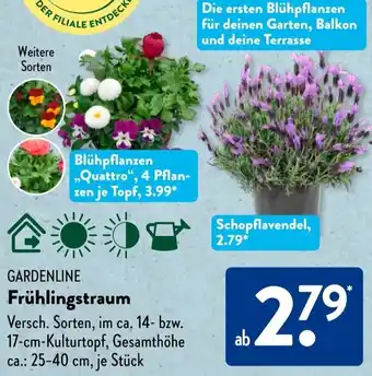 Aldi Süd GARDENLINE Frühlingstraum Angebot