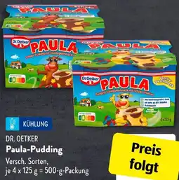 Aldi Süd DR. OETKER Paula-Pudding Angebot