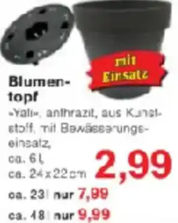 Jawoll Blumentopf Angebot