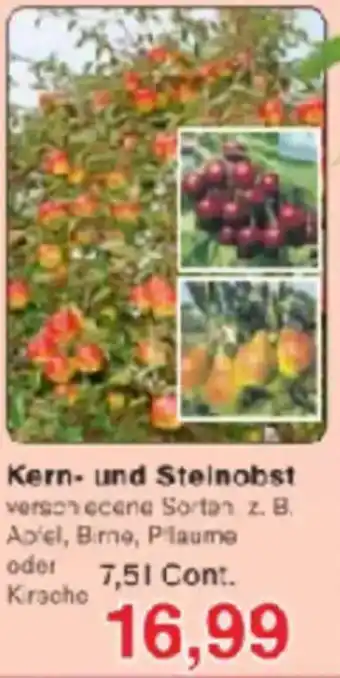 Jawoll Kern- und Steinobst Angebot