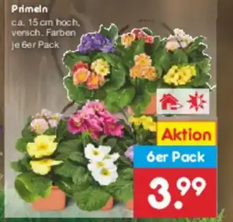 Netto Marken-Discount Primeln Angebot