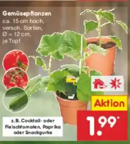 Netto Marken-Discount Gemüsepflanzen Angebot