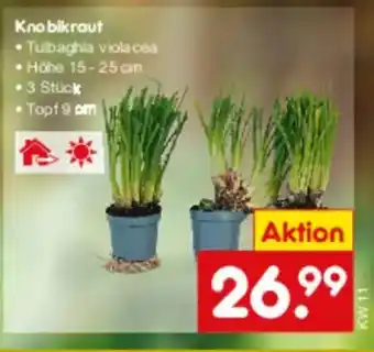 Netto Marken-Discount Knobikraut Angebot