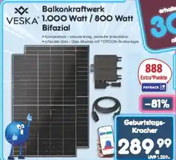 Netto Marken-Discount Balkonkraftwerk VESKA 1.000 Watt / 800 Watt Bifazial Angebot