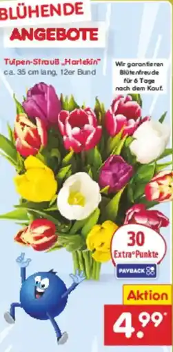 Netto Marken-Discount Tulpen-Strauß „Harlekin" Angebot