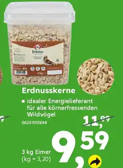 Globus Baumarkt Erdnusskerne Angebot