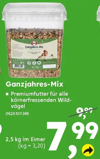 Globus Baumarkt Ganzjahres-Mix Angebot