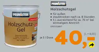 Globus Baumarkt PRIMASTER Holzschutzgel Angebot