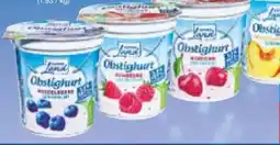 Netto Marken-Discount Gutes Land Obstighurt Angebot