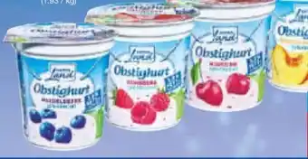 Netto Marken-Discount Gutes Land Obstighurt Angebot