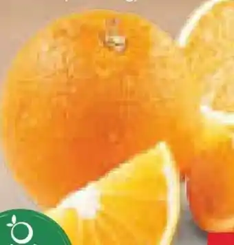 Netto Marken-Discount Lieblings Orangen Angebot