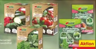 Netto Marken-Discount Garten Magie Saatgut Angebot