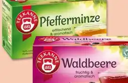 PENNY Teekanne Waldbeere Angebot