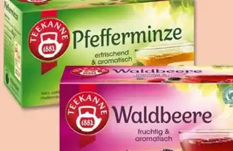 PENNY Teekanne Waldbeere Angebot