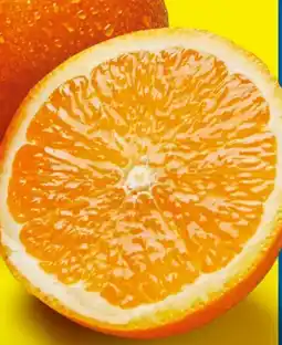 Lidl Bio-Orangen Angebot