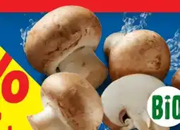 Lidl Bio Kulturchampignons Angebot