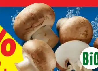 Lidl Bio Kulturchampignons Angebot