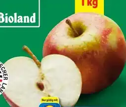 Lidl Bio Wetteräpfel Angebot