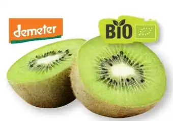 Scheck-in-Center Bio Kiwi Grün Angebot