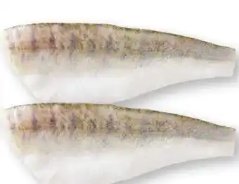 Scheck-in-Center Zanderfilets Angebot