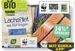 Scheck-in-Center Edeka Bio Lachsfilet Angebot