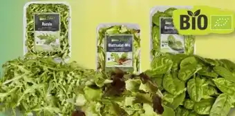 Edeka Edeka Bio Rucola Angebot