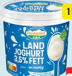 Edeka Weideglück Landjoghurt Angebot