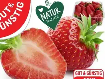 Edeka Gut & Günstig Erdbeeren Angebot