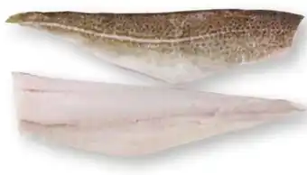 Scheck-in-Center Skrei-Filets Angebot