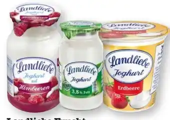 Scheck-in-Center Landliebe Fruchtjoghurt Angebot