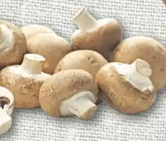 nahkauf Rewe Beste Wahl Champignons Angebot